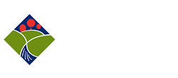 Thomas Paysage